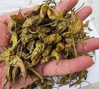 Organic Dry Green Chilli